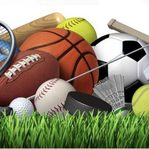 Ortsgemeinde Oberdiebach