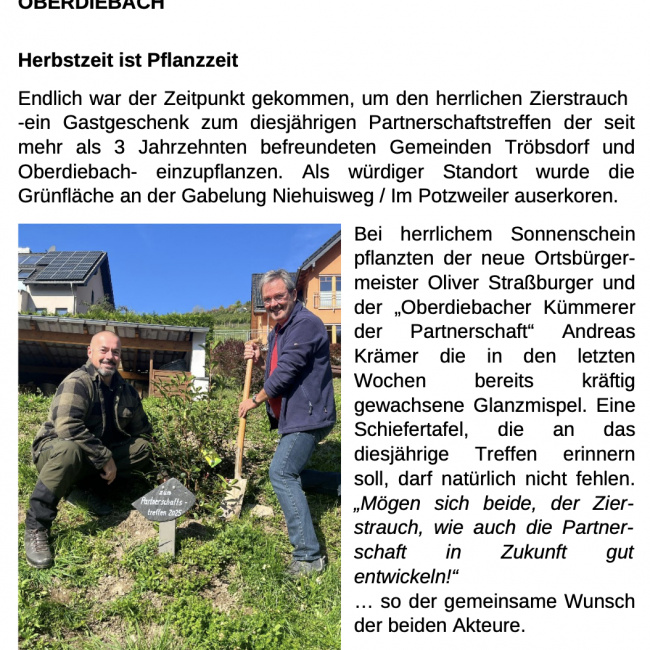 Pflanzaktion